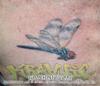 in flight realistic on chest