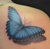 blue_butterfly_tattoo.jpg