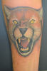 mountain_lion_cougar_tattoo.jpg