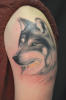 realistic_wolf_tattoo.JPG